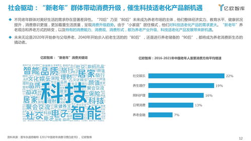 2021中國科技適老化產(chǎn)品研究報(bào)告 信息技術(shù)咨詢服務(wù)的引領(lǐng)與賦能