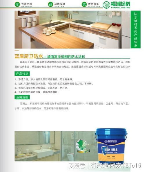 從技術(shù)到服務(wù) 實(shí)力防水涂料廠家的全鏈路解析與信息技術(shù)咨詢服務(wù)
