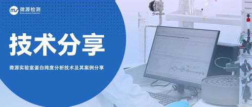 實驗室蛋白純度分析技術全解析